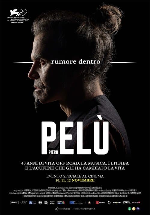 Piero Pelù - Rumore dentro poster