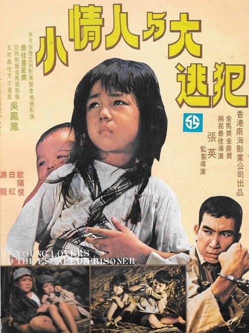 The Young Lovers and the Escaped Prisoner poster