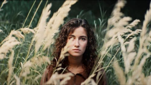 The Weight of Quiet Things poster