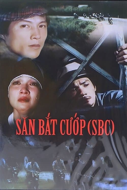 To Catch A Thief 2: The Woman In Nun's Habit poster