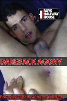 Bareback Agony poster