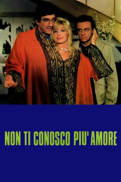 I Don't Understand You Anymore poster