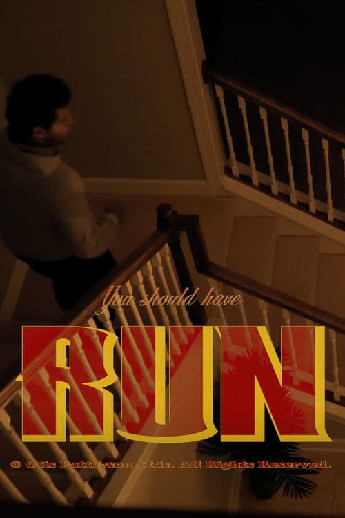 You Should Have Run poster