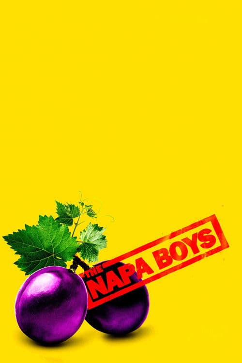 The Napa Boys poster