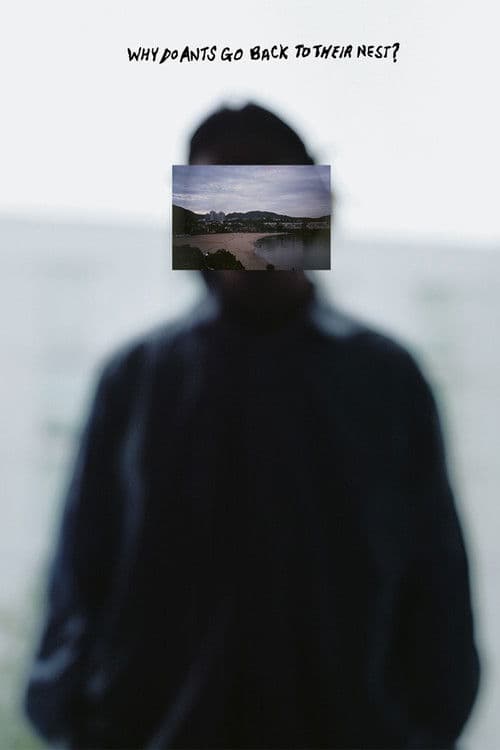 Why Do Ants Go Back To Their Nest? poster