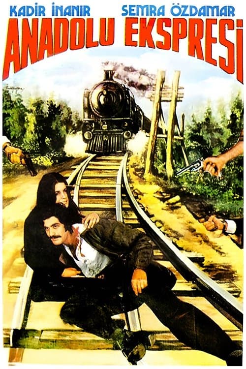 Anadolu Ekspresi poster