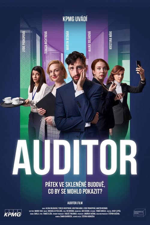Auditor poster