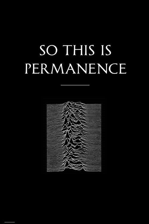 Peter Hook & The Light: So This Is Permanent poster