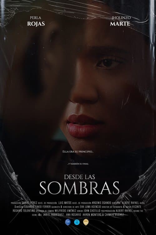 Desde las sombras poster