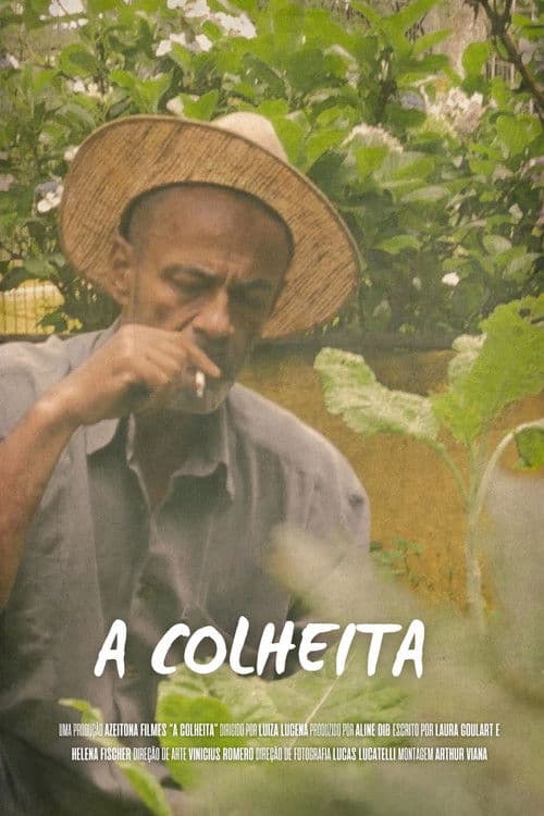 A Colheita poster