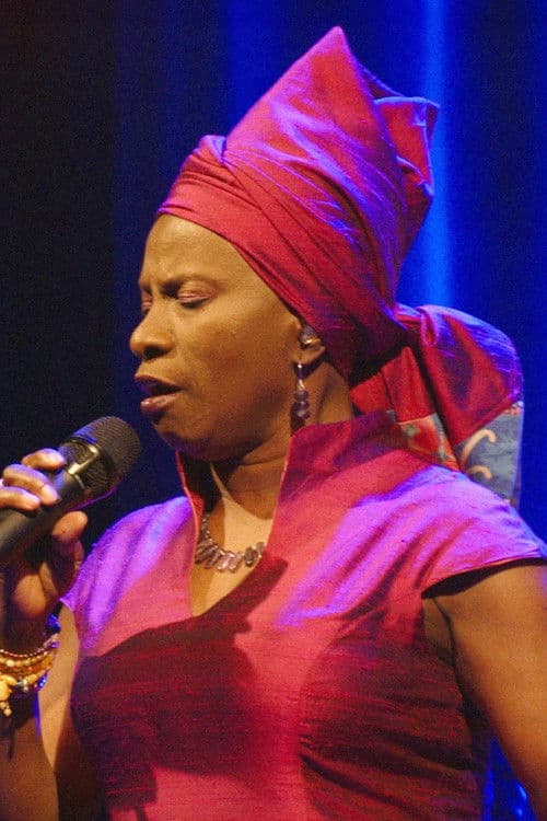Angélique Kidjo : 40 ans de carrière poster