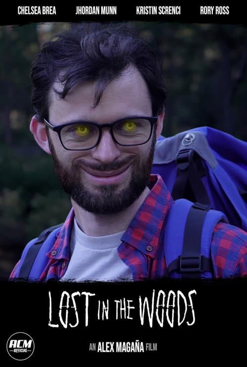 Lost in the Woods poster