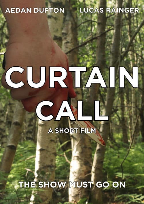 Curtain Call poster