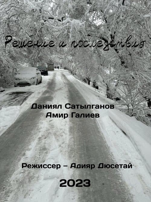 Решение и последствия poster