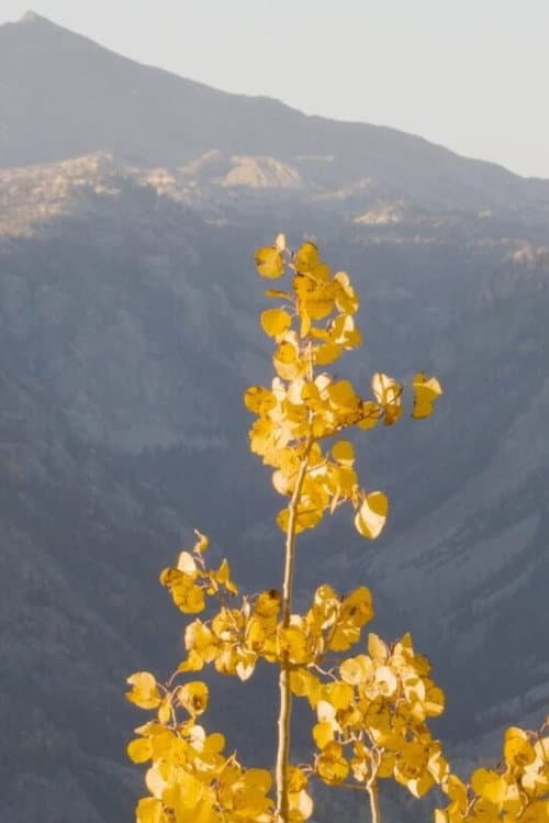 The Climate Change Volumes: Fall poster