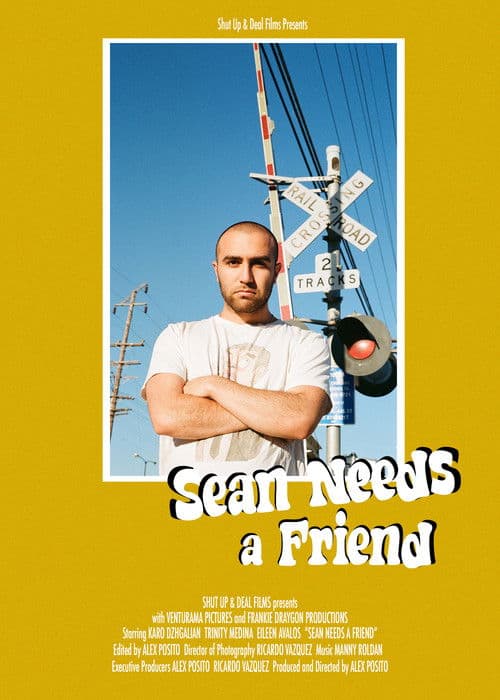 Sean Needs a Friend poster