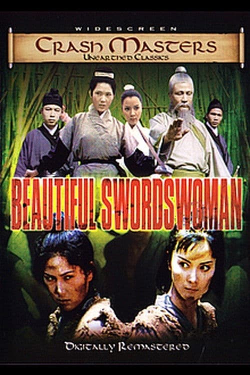 Beautiful Swordswoman poster