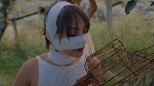 Pure Immersion poster