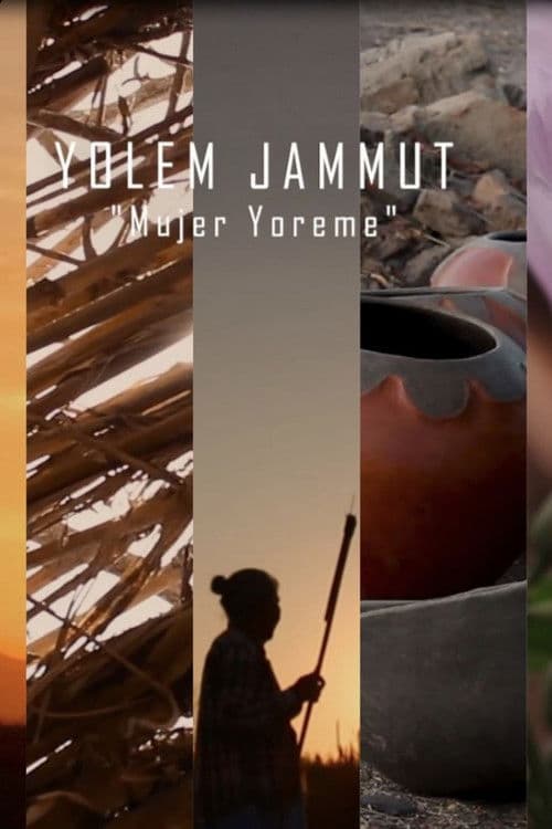 Mujer Yoreme (Curandera) poster