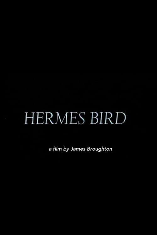Hermes Bird poster
