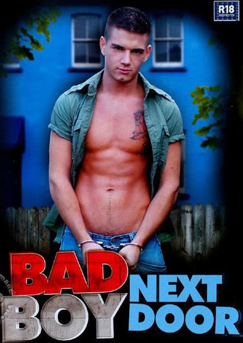 Bad Boy Next Door poster