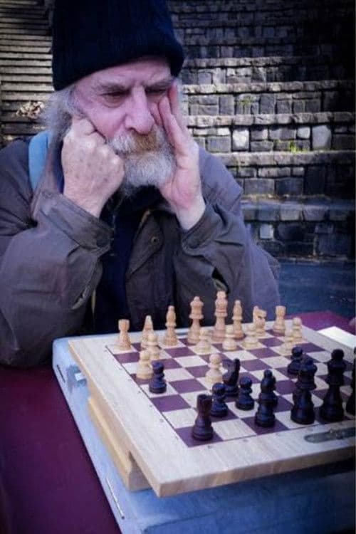 Mechanical Birds poster