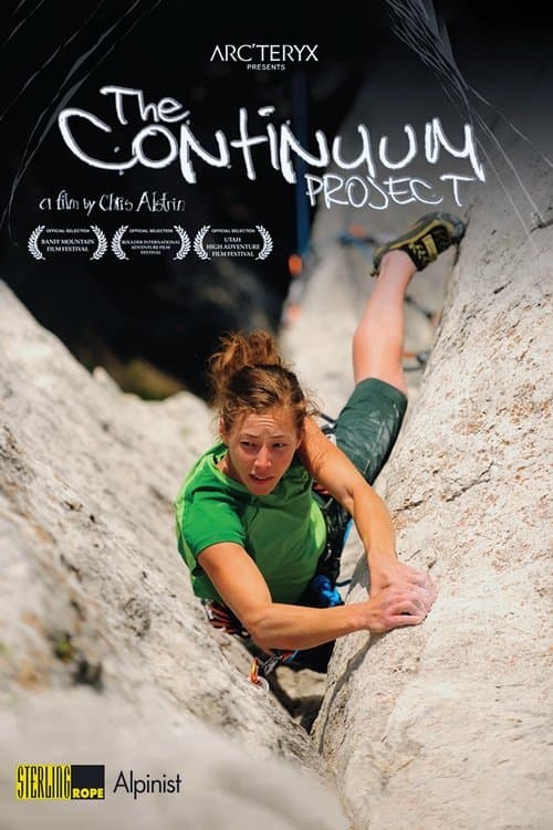 The Continuum Project poster