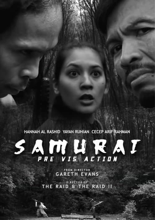 Pre Vis Action poster