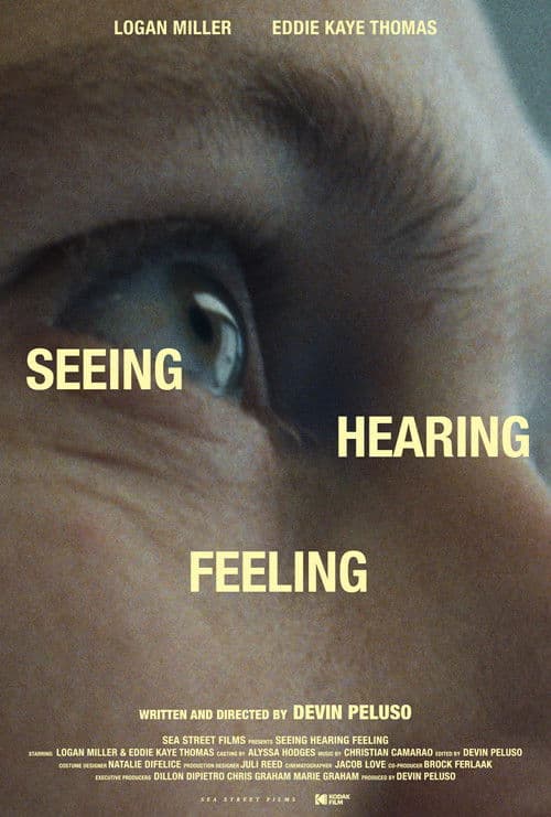 Seeing Hearing Feeling poster