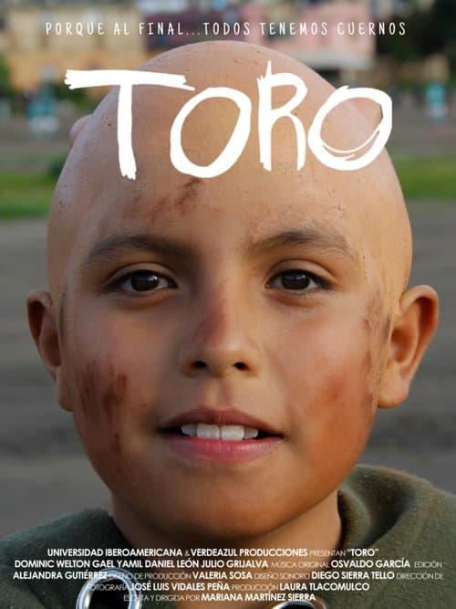 TORO poster