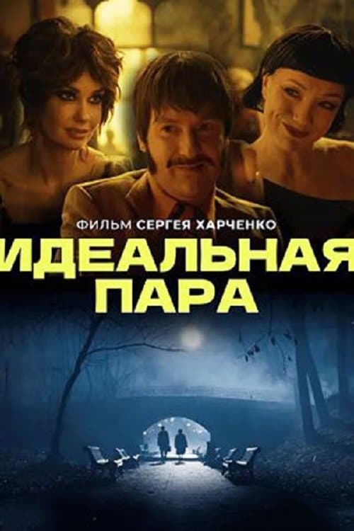 Идеальная пара poster