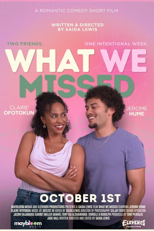 What We Missed poster