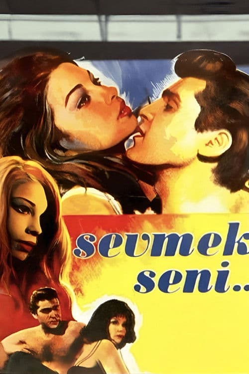 Sevmek Seni poster
