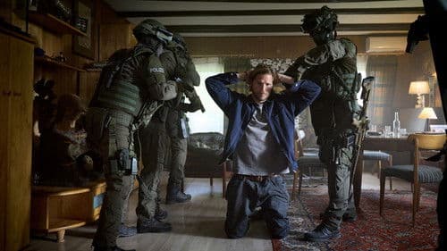 Einsatz Seeler - Ein Lübeck-Krimi poster