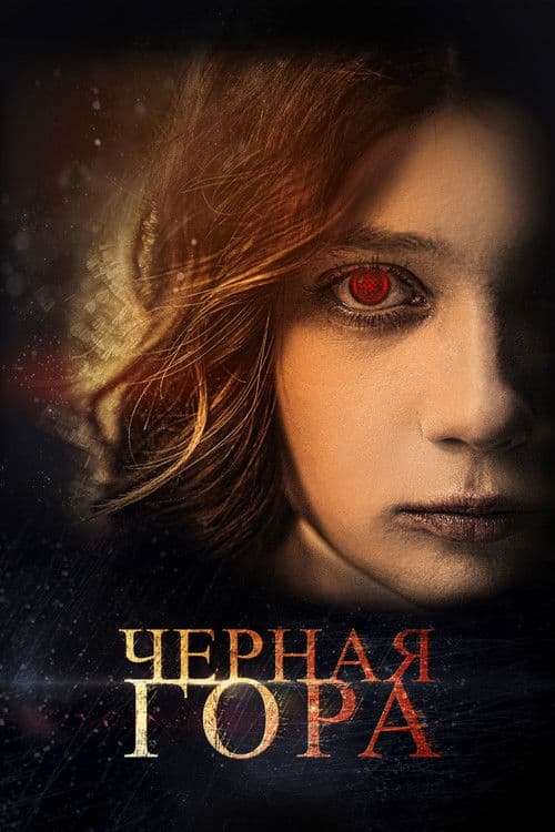 Black Mountain poster