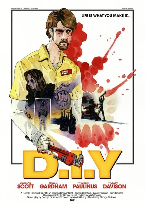 D.I.Y poster
