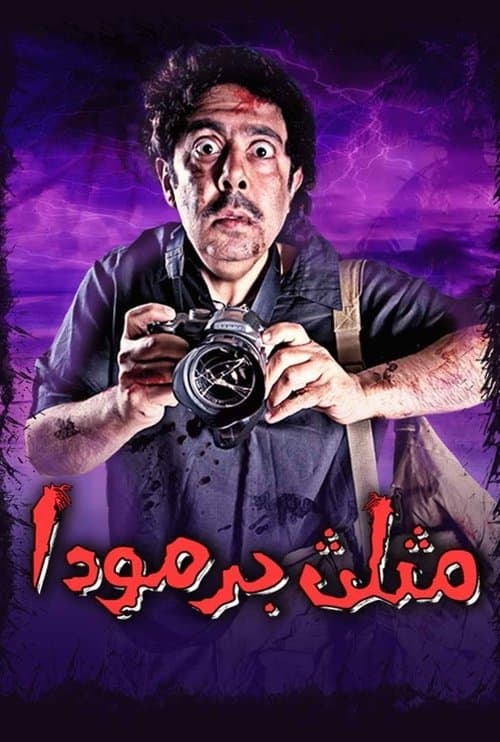 مثلث برمودا poster
