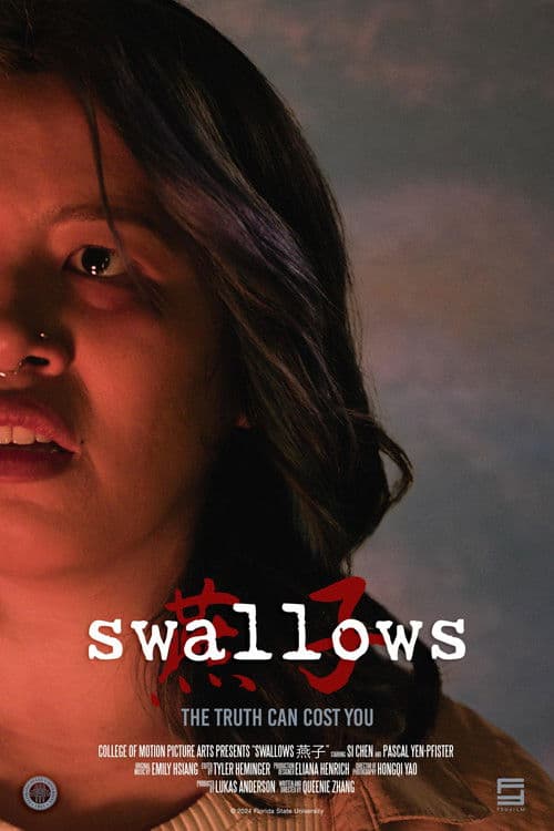 swallows燕子 poster