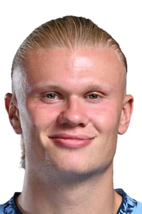 Erling Haaland profile photo