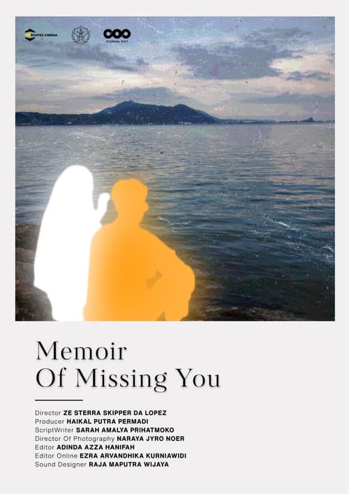 Memoir Of Missing You poster