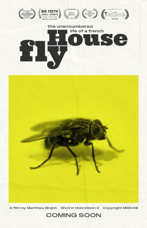 The Unencumbered Life of a French House Fly poster