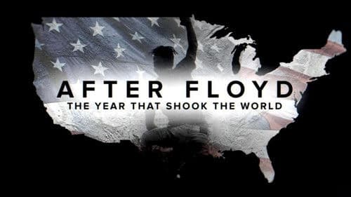 After Floyd: The Year that Shook the World – A Soul of a Nation Special poster