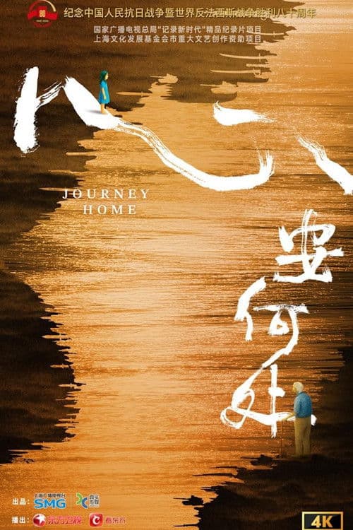 心安何处 poster
