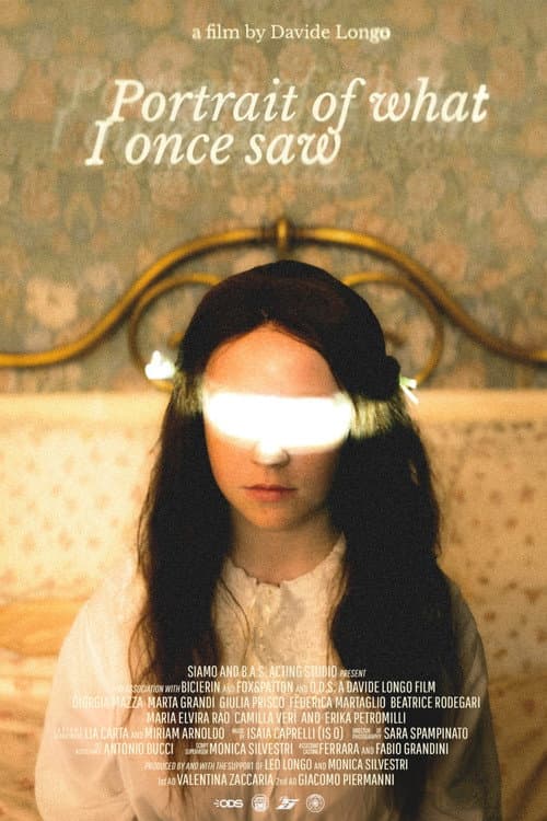 Portrait Of What I Once Saw poster