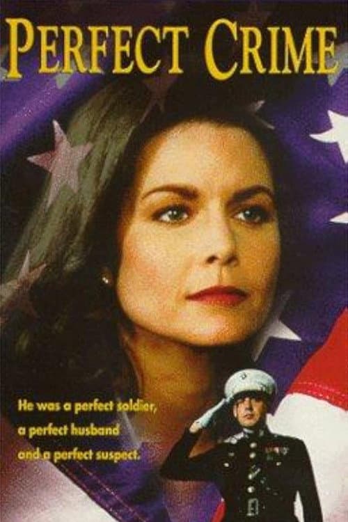 Perfect Crime poster