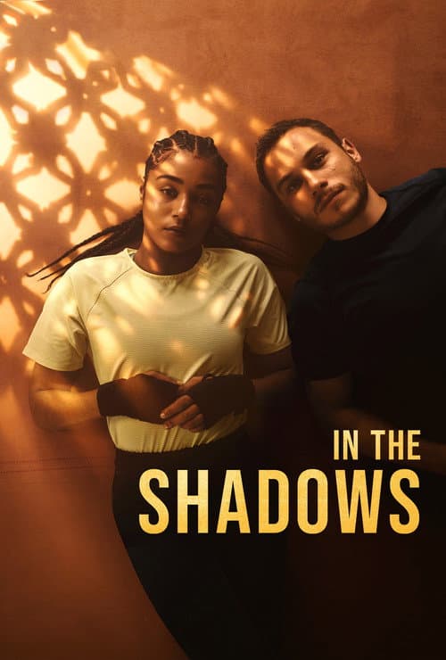In the Shadows poster