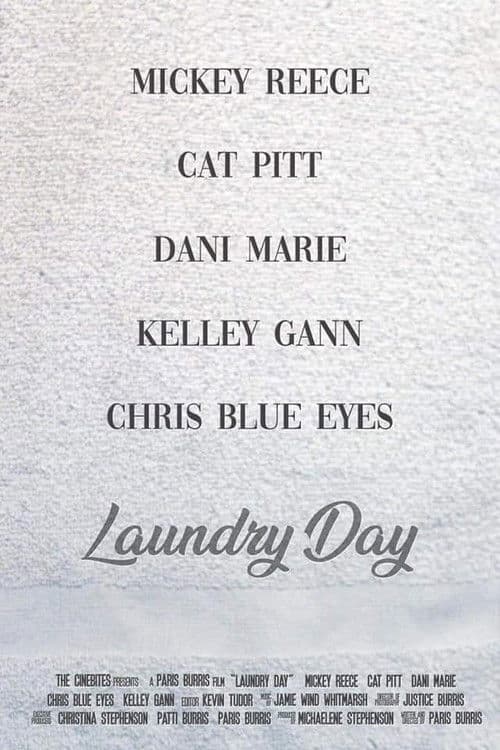 Laundry Day poster
