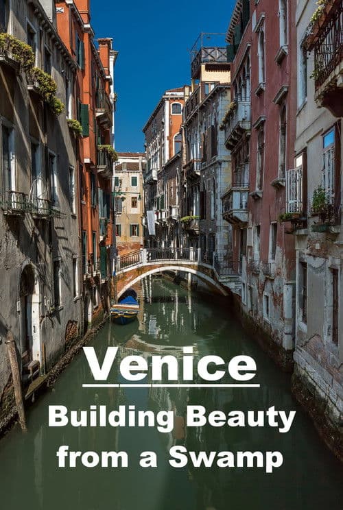 Venice: Building Beauty from a Swamp poster