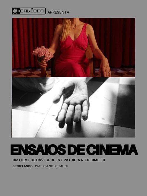 Ensaios de Cinema poster