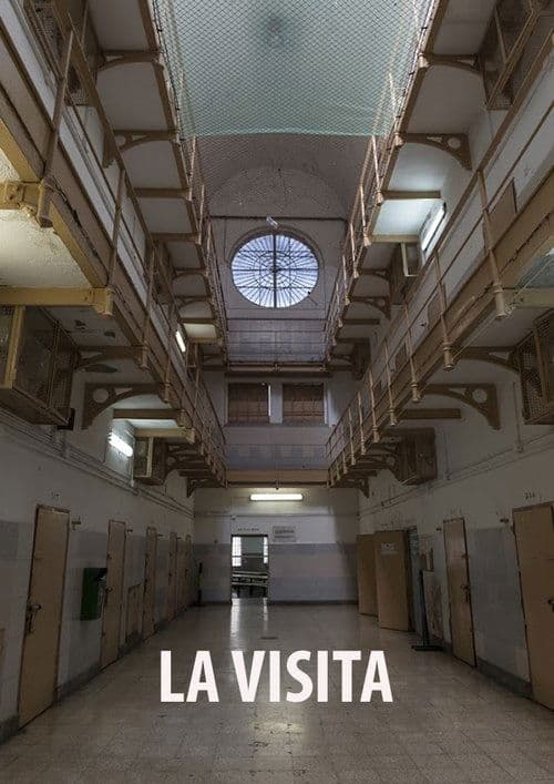 La Visita poster